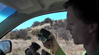 Digibinning Lions using snapshot adapter and EL binoculars [upl. by Gasperoni932]