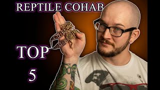 Reptile Cohabitation The Top 5 Reptiles That Can Cohab Successfully And How To Do It [upl. by Ennaharas52]