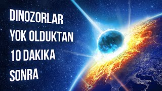 Dinozorların Nesli Tükendikten 10 Dakika Sonra Neler Olduğunu İzleyin [upl. by Imnubulo]