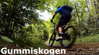 MTB  Singletrack Oslo  Stisykling OsloGummiskogen HD [upl. by Pell928]