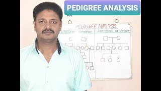 PRINCIPLES OF INHERITANCE AND VARIATION  Malayalam PEDIGREE ANALYSIS [upl. by Gennaro530]