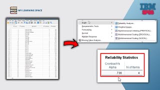 MASTERING SPSS  RELIABILITY TEST WITH SPSS CRONBACH ALPHA TEST [upl. by Atirehc715]