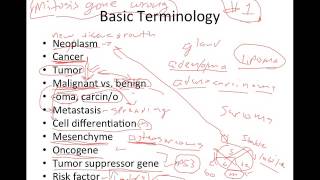 Introduction to Cancer [upl. by Thatcher]