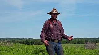 Ragweed Control in a Native Warm Season Grass Pasture [upl. by Maxwell]