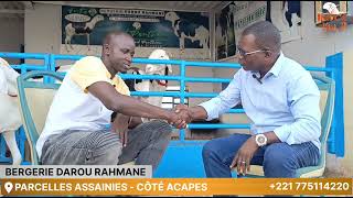 P1 Bergerie Darou Rahman Contemplons le travail majestueux de ce jeune eleveur [upl. by Darrel]