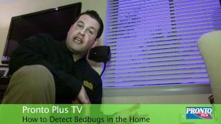 How to Detect Bedbugs in the Home [upl. by Nomi]