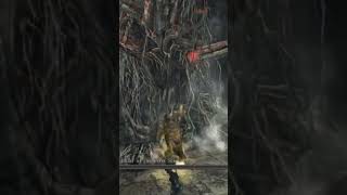 Aldia Scholar of the First Sin darksouls2 shorts [upl. by Izogn]