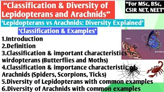 Classification and Diversity of Lepidopterans and Arachnids  Classification and Examples [upl. by Nirrol]