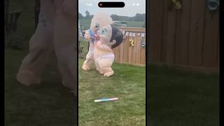 Gender Reveal Fail  genderreveal genderrevealideas baby funnyvideo funnygenderreveal [upl. by Aiuoqes]