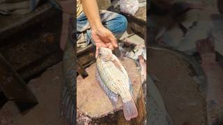 Amazing Tilapia Fish Cutting Skills  Fish Cutting Live  Fish Cutting Video shorts [upl. by Atoel97]