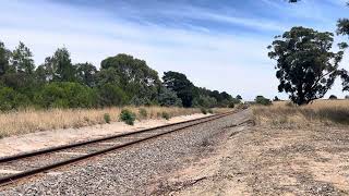 N462 on an up Warrnambool pass between Birregurra and Winchelsea [upl. by Krahmer558]