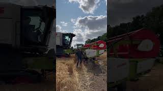 MONSTER CLAAS LEXION 8800 HARVESTING WHEAT YORKSHIRE TRACTOR COMBINE AGRICULTURE FARM [upl. by Brezin]