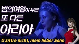 아는사람만 아는 O zittre nicht mein lieber Sohn 밤의 여왕의 비밀 아리아 이건 꼭 들어봐야 해 [upl. by Valonia]