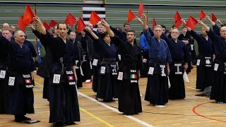 Kendo Referee Seminar 2018 [upl. by Eliga]