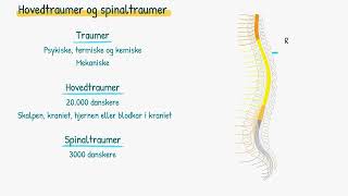 Nervesystemet Hovedtraumer og spinaltraumer [upl. by Greenman]