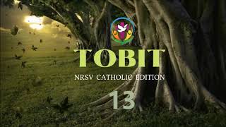 Tobit 13  English Audio Bible  AFCM  NRSV Catholic Edition [upl. by Ellemac]