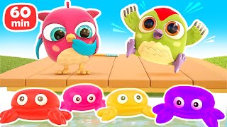 Baby cartoons amp baby videos  Hop Hop the owl full episodes cartoons for kids  Toys and colors [upl. by Ergener76]