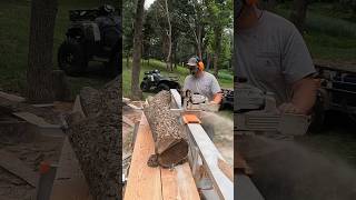 Chainsawing and Making it Rain Sawdust sawdust chainsaw viral [upl. by Hnahc550]