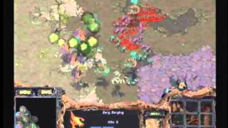 Progamer Korea Open TheBOy vs Freemura 19991230  Lost T [upl. by Shawna]