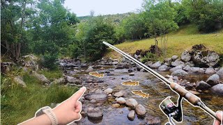 JE PÊCHE DE NOMBREUSES TRUITES DANS CE PETIT TORRENT DES PYRÉNÉES [upl. by Eicul]