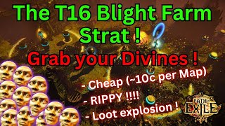 325 The Blight T16 Farm Strat on POE  Grab your Divines  Cheap BUT very Rippy  Test your Build [upl. by Assinna820]