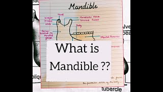 Mandibular bone Anatomy  jaw bone ANATOMY  GENERAL FEATURES OF MANDIBLE BONE anatomy [upl. by Aivatahs]