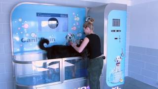 Tuto Dogwash [upl. by Rafe]