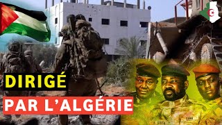 Algérie  Palestine  l’Afrique en première ligne face à Israël [upl. by Ainesey900]