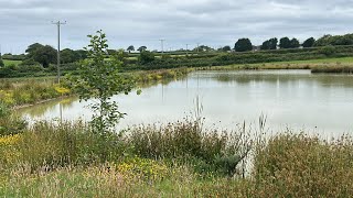 Thatchers island carp fishery update new opening plans and why I’ve been on the missing list [upl. by Georglana]