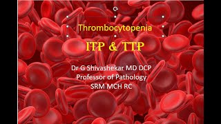 Thrombotic Thrombocytopenic purpura  Immune Thrombocytopenic Purpura  Platelet disorders  MBBS [upl. by Doig315]