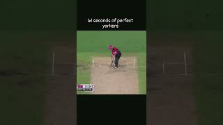 61 second Yorker bowling videolikesubscribecricket [upl. by Notac756]