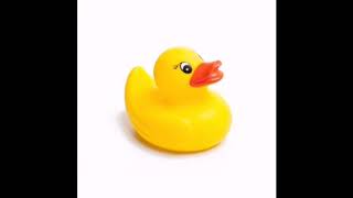 Rubber Duck Sound Effects [upl. by Notsgnik656]