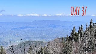 Day 37  Tri Knob Shelter to Cosby Knob Shelter  Appalachian Trail 2024 Thruhike Attempt [upl. by Henrie170]