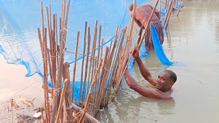 বড়াল নদি ঘিরে জেলেরা কি মাছ ধরছে Fishermen catching fish [upl. by Gristede861]