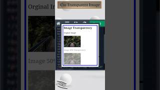 𝐂𝐬𝐬 𝐓𝐫𝐚𝐧𝐬𝐩𝐚𝐫𝐞𝐧𝐭 𝐈𝐦𝐚𝐠𝐞  transparency image css3 padding html style css Educationslearning [upl. by Azriel]