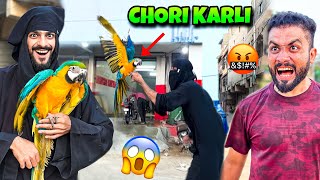 USAMA KA 4 LAKH KA PARROT CHORI KARLI🤣  MISHKAT KHAN VLOG [upl. by Alekram]