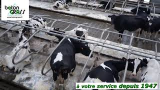 Stabulation libre vaches laitières GAEC MOHAIN [upl. by Avi943]