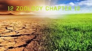 Eutrophication 12 th zoology chapter 12 in Tamil [upl. by Eemla382]