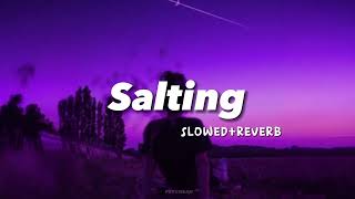 Salting  Slowedreverb   Tiktok Viral Song  Indo Remix [upl. by Lazos]