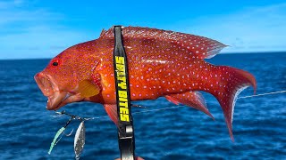 Fishing on an Island  Eging Ajing and Jigging at Dicasalarin Baler Aurora [upl. by Arocet677]