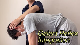 Integration for Galant reflex [upl. by Osbourn975]