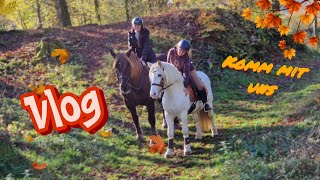 Komm mit uns ausreiten🍂  Vlog mit Miri  neue Wege erkunden [upl. by Jesse189]