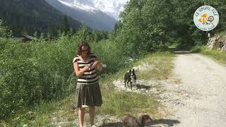 Filage au fuseau turc en promenant les chiens [upl. by Lenor229]