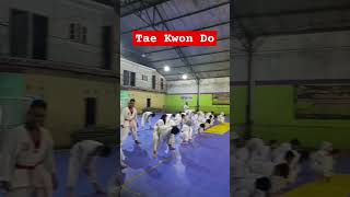 TAEKWONDO taekwondokicks taegeuk taekwondotechniques taekwondokorea kukkiwon reels faktaunik [upl. by Oihsoy959]