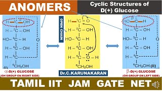 TAMIL ANOMERS EPIMERS STEREOISOMERS DIASTEREOMERS CYCLIC STRUCTURE DGLUCOSE HAWORTH STRUCTURE [upl. by Abbub618]