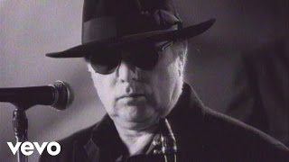 Van Morrison  Days Like This Official Video [upl. by Hadik]