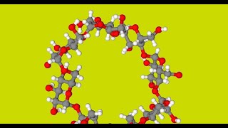 A Physicochemical Study to Evaluate the Subsistence of Inclusion Complexes of Cyclodextrins [upl. by Brett]