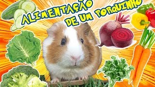 Alimentação dos Porquinhos da Índia [upl. by Louie]