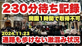 【激混み】チケット完売日！クリスマスの週末が大混雑だった東京ディズニーランド（20241123） [upl. by Rawden]