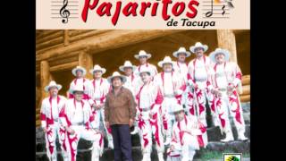 Super banda los pajaritos de tacupa mix [upl. by Arnold]